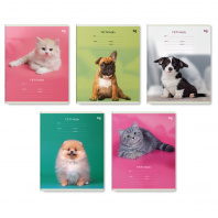 Тетрадь 12л BG линия Little animal