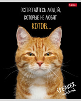 Тетрадь 40л Хатбер клетка Кот говорит! ассорти
