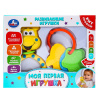 Умка Развивающие игрушки набор 2шт Моя первая игрушка B2445534-R*