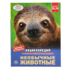 Умка Энциклопедия А4 с развивающ.заданиями Необычные животные