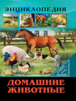 Проф-Пресс Энциклопедия А4 В мире знаний Домашние животные