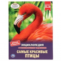 Умка Энциклопедия А4 с развивающ.заданиями. Самые красивые птицы
