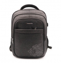 DV Рюкзак 47*34*18см FeiYaShi молодежный USB разъем (лев)