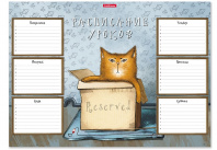 Расписание уроков А3 Erich Krause Cat & Box