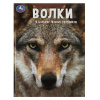 Умка Энциклопедия А4 с развивающ.заданиями. Волки В царстве лесных охотников