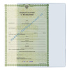Карман д/документов ДПС 305*222мм ПВХ 300мкм