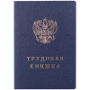 Бланк Трудовая книжка Гознак