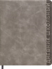 Дневник 1-11кл и/кожа Проф-Пресс 48л тиснение Classic Line серый