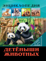 Проф-Пресс Энциклопедия А4 В мире знаний Детёныши животных