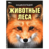 Умка Энциклопедия А4 Животные леса