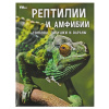 Умка Энциклопедия А4 Рептилии и амфибии. Гекконы, лягушки и вараны