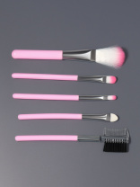 Сима Ленд Набор кистей д/макияжа COLOR POWER pink 5шт розовый