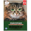 Умка Энциклопедия А4 с развивающ.заданиями Кошки и котята