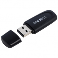Флешка Smart Scout 32GB USB 2.0 Flash Drive, черный