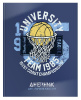 Дневник 5-11кл тверд Schoolformat мат.ламин Баскетбол