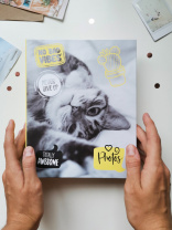 Фотоальбом 200 фото 10*15см ПТ Fluffy pets Мяу